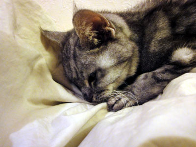 DSC09828.jpg