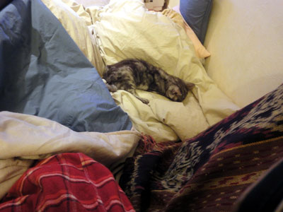 DSC09837.jpg