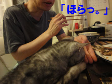 020.jpg