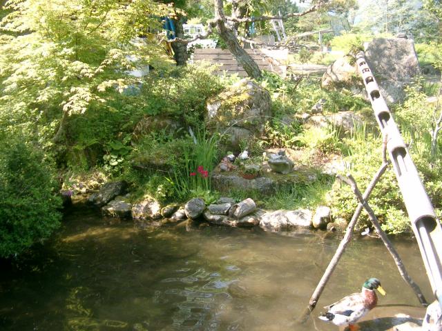 亡父　最後の写真