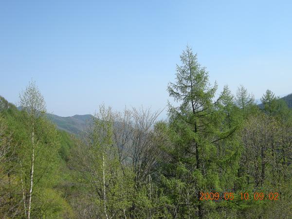 分杭峠