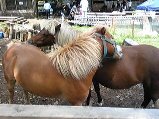 DVC00137.JPG