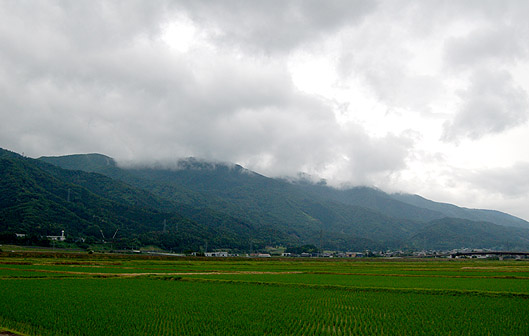 DSC_0823.JPG
