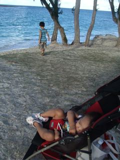 ビーチ　お散歩