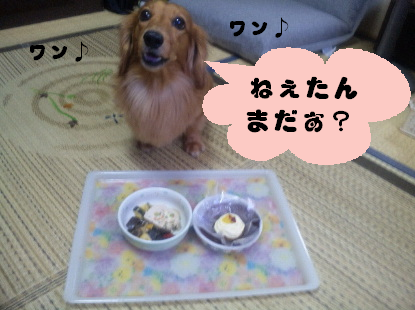 Ｈ２１．８．１８