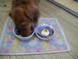 Ｈ２１。８．１８