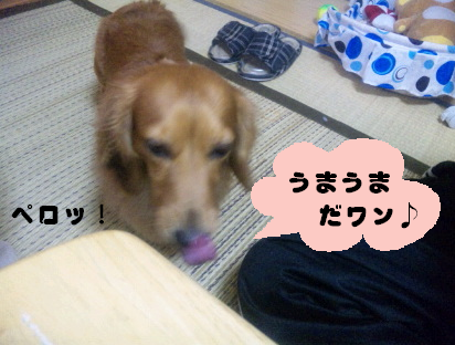 Ｈ２１．８．１８