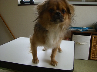 画像 571.jpg