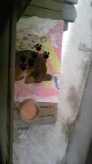 おやすみタイム