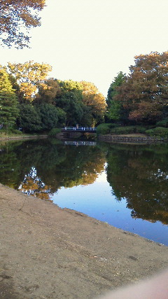 北の丸公園の池（10月29日撮影）