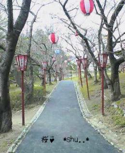 観桜会.JPG