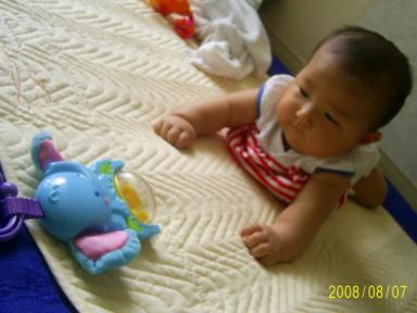 S4020141.JPG
