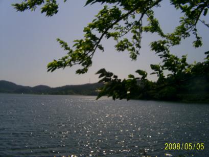 S4021417.JPG