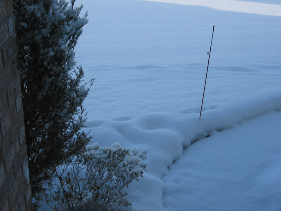 snow2