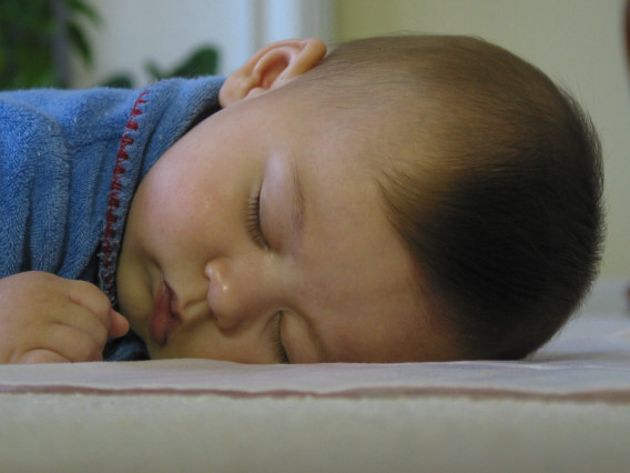 Zzzzz........