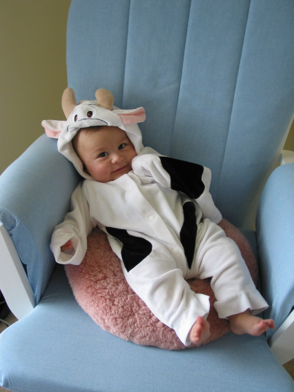 Cow