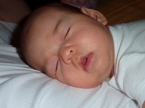 Sleeping daddy-like Pko chan.JPG