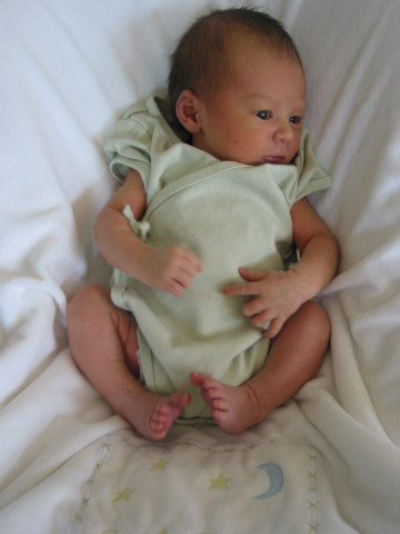 Peanut without the shell.