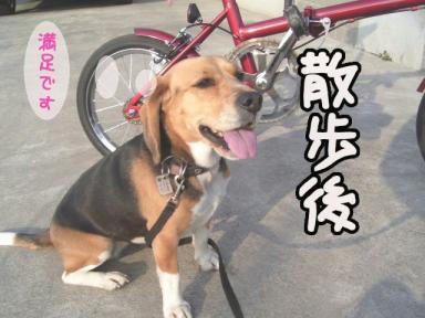 チャリ散歩後・・・