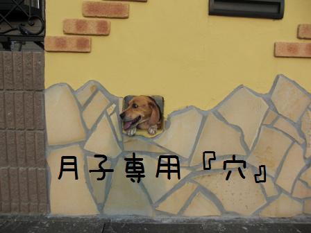 穴