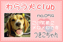 わらう犬club