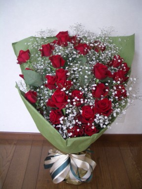 IMGP3807.JPG