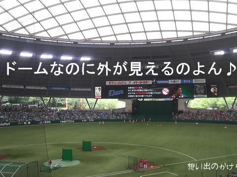 ドーム内