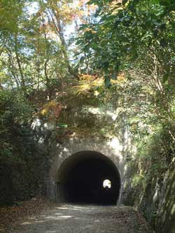 tonnneru2