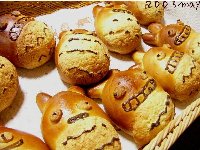 0305トトロパン