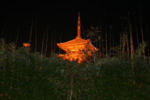 THE GARDEN ORIENTAL KYOTO