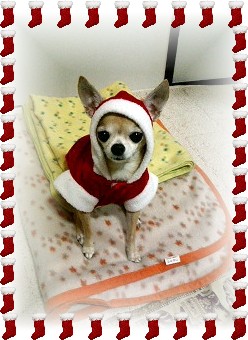 santamaru
