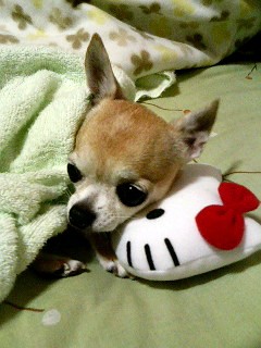 まる２