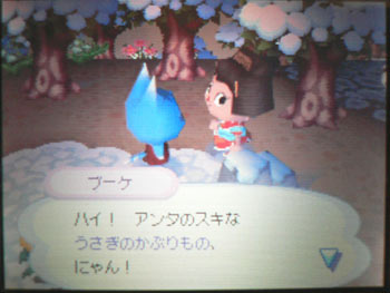 プレゼント