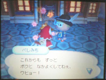 ぺしみち
