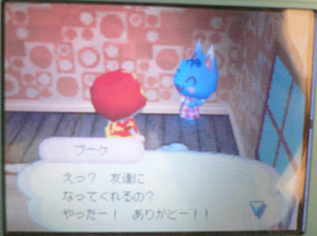 ブーケ