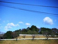 今日は天気が良い～♪