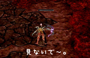 やっぱり一度はね♪