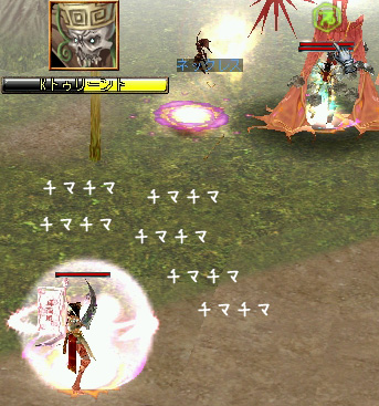 遠くからが鉄則なのよ～