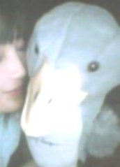 ヘッドカバー☆☆