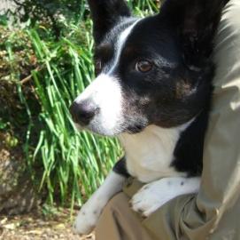 たのしみだなぁ