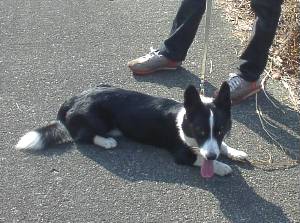 早く撮っちゃってよね