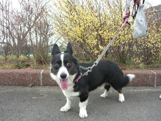 ピンクで～す♪