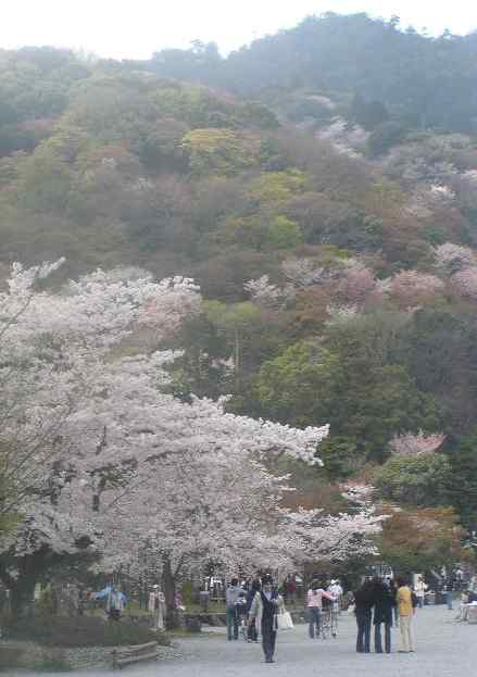 嵐山渡月橋１０