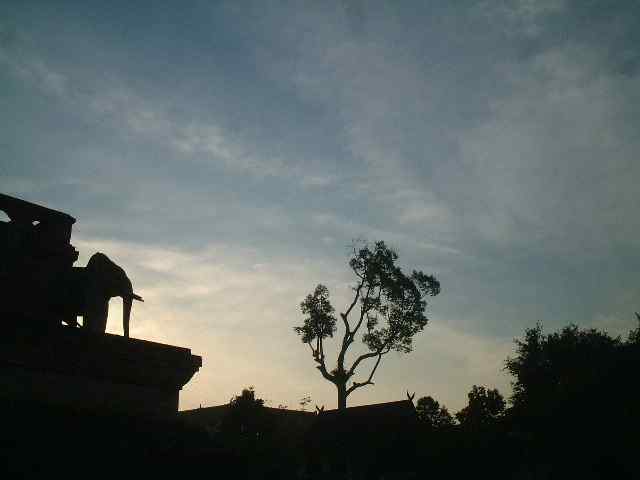 朝のチェンマイ 寺の境内3