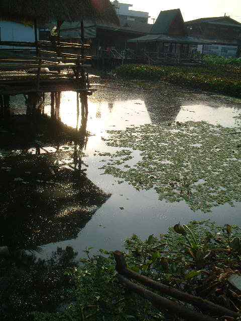 朝のチェンマイ 寺の境内8