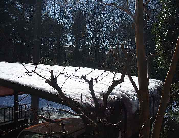 家の庭　雪景色　駐車場