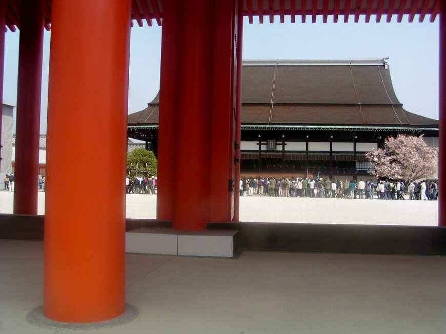 京都御所の桜１