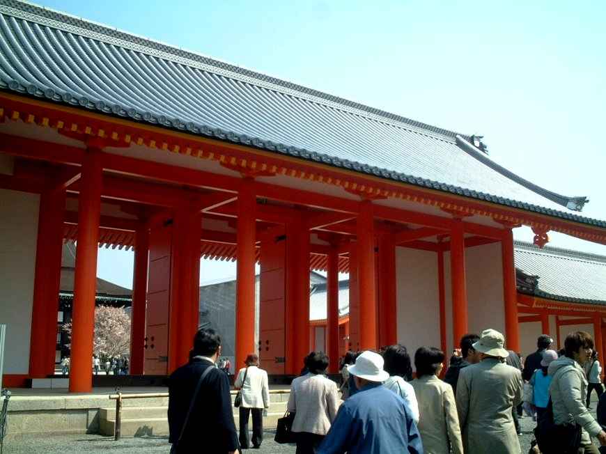 京都御所の桜２