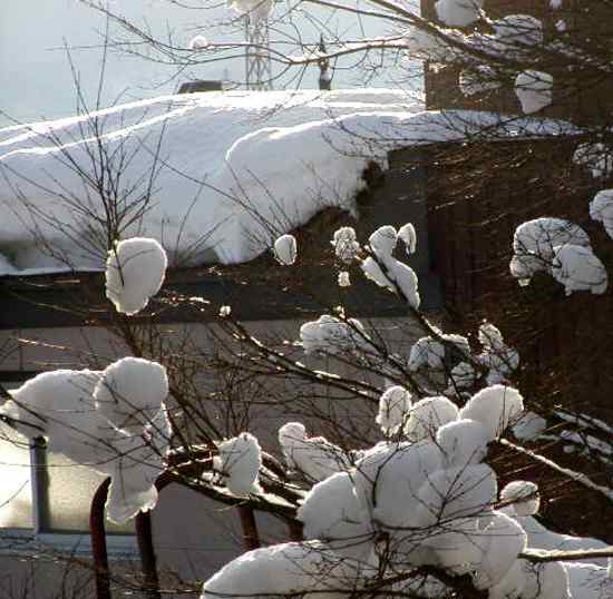 山形 米沢 冬景色 朝の雪解け