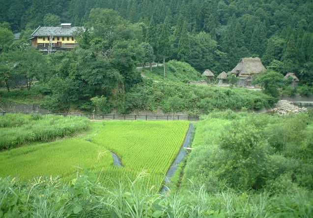 白山のふところ１０